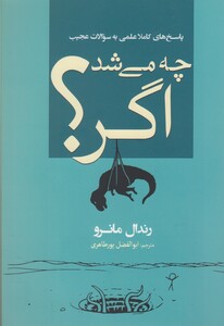 کتاب چه می شد اگر