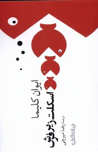 کتاب اسکلت زیر فرش