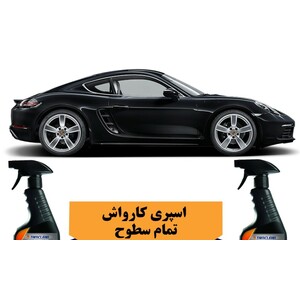 اسپری کارواش بدون آب تمام سطوح تام کلین مدل TC_DB480Y22 حجم 480 میلی لیتر