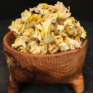 گل ختمی سفید