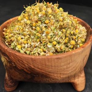 بابونه شیرازی اصل تیارمزه