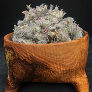 خواص چای کوهی