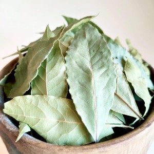 خواص برگ بو