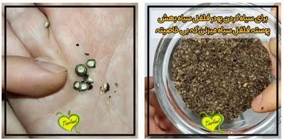 روش های تشخیص فلفل سیاه اصل و تقلبی