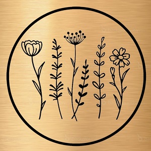 گیاهان دارویی