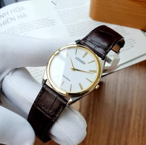 ساعت مچی مردانه سیتیزن مدل AR3074-03A