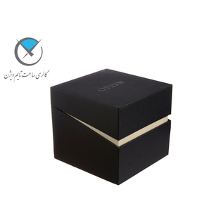 نمایندگی سیتیزن