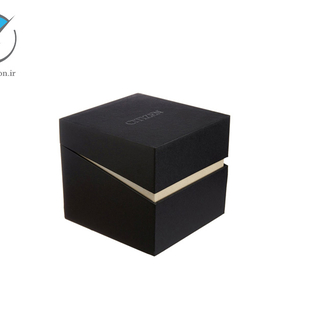 نمایندگی سیتیزن