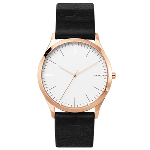 ساعت مچی اسکاگن مدل SKW1102