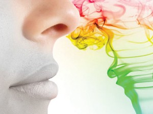 بهترین رایحه ها برای افزایش میل جنسی کدامند ؟
