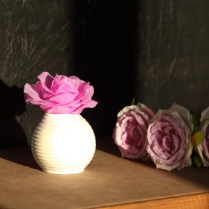 خوشبو کننده هوا رایحه لوندر (اسطوخودوس)