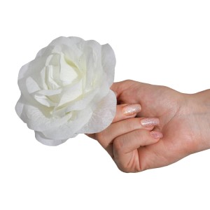 خوشبو کننده هوا رایحه لوندر (اسطوخودوس)