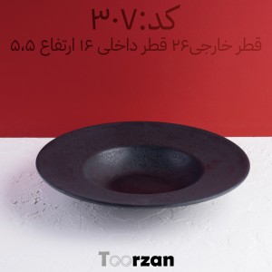 کاسه سالاد سزار و پاستا  |  قطر خارجی ۲۶ قطر داخلی۱۶ ارتفاع ۵نیم سانت| تورزن.