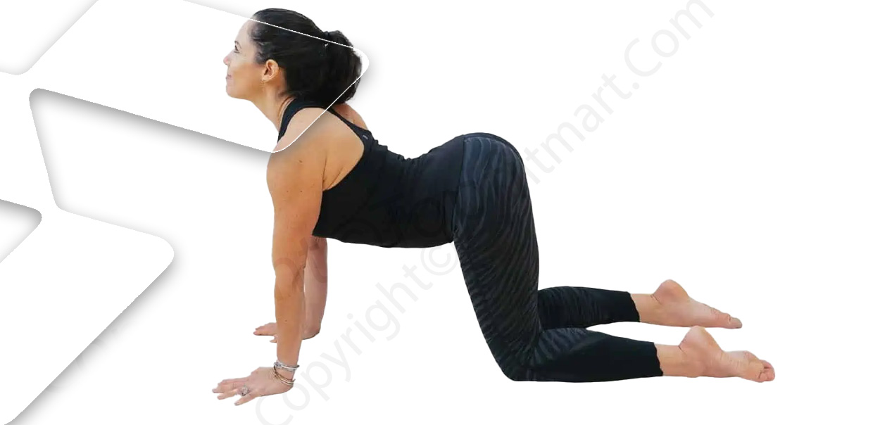 Marjaryasana-Bitilasana یوگا برای خواب