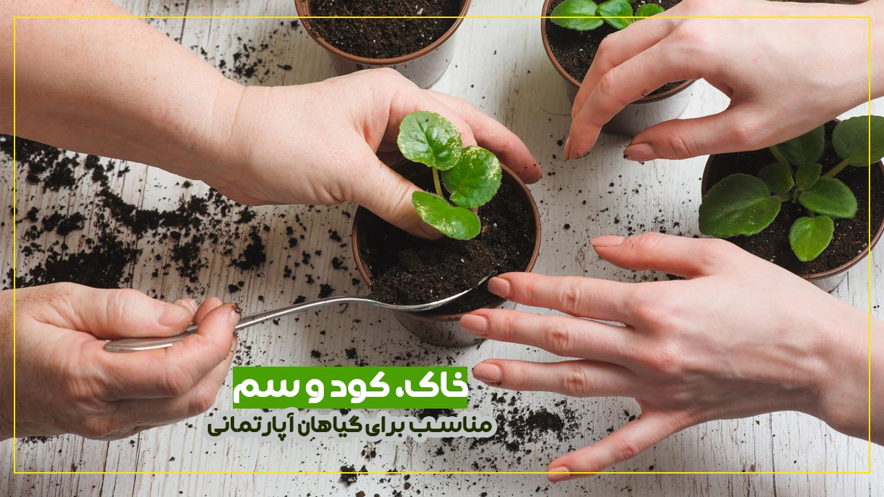 خاک، کود و سم مناسب برای گیاهان آپارتمانی