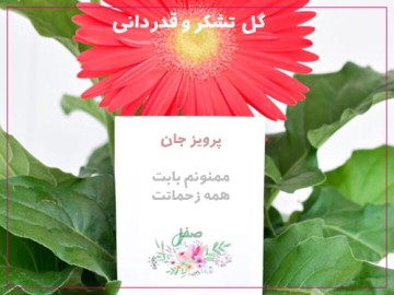 گل برای تشکر و قدردانی