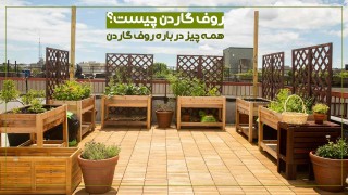 روف گاردن چیست؟ همه چیز درباره روف گاردن