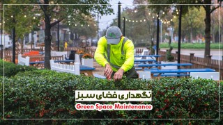 نگهداری فضای سبز