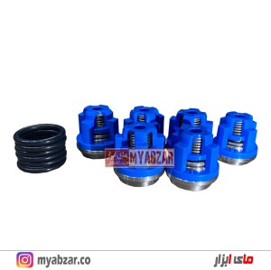 سوپاپ پمپ کارواش برتولینی 110 بار اصلی