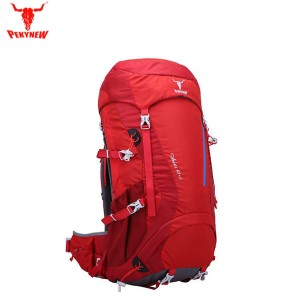 کوله پشتی کوهنوردی  پکینیو مدل اریس 5+45