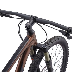 مشخصات، قیمت و خرید دوچرخه جاینت تالون 1 سایز 29 | GIANT Talon 29 1 (2022) | توریست شاپ.jpg
