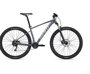دوچرخه جاینت تالون2 سایز 29 | GIANT Talon 29 2 (2022)