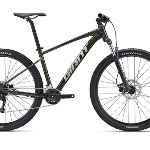 دوچرخه جاینت تالون 2 سایز 29 | GIANT Talon 29 2 (2022)