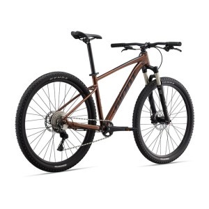 دوچرخه جاینت تالون 1 سایز 29 | GIANT Talon 29 1 (2022)