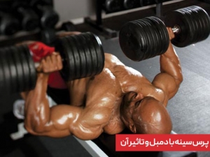 حرکت پرس سینه دمبل چیست و چه تاثیری در بدنسازی دارد؟