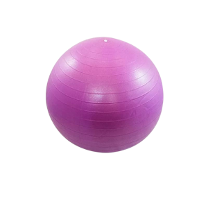 توپ جیم بال 65 سانتی متری اکت ارلیر (Act Earlier) کد NB-100