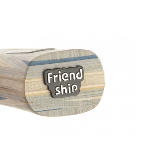 راکت پینگ پنگ FRIEND SHIP کد W-6683