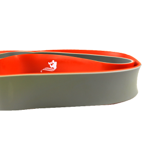 کش پاورباند 4.5 سانتی متری پاورجیم (POWER GYM) کد B-52560