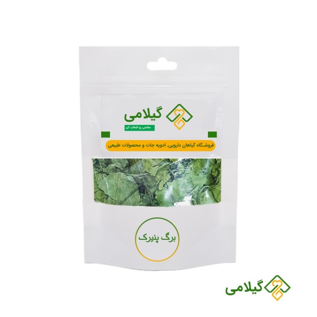 برگ پنیرک برای درست کردن حلوا محلی گیلان