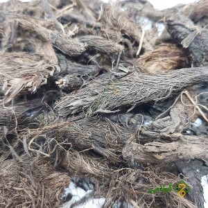 قیمت و خرید سنبل الطیب گیلامی (Gilamie Common Valerian)