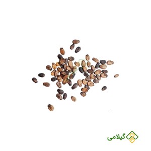 بذر هندوانه آناناسی (Yellow watermelon seeds)