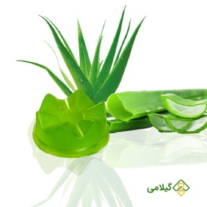صابون ارگانیک آلوئه ورا گیلان
