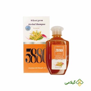 شامپو گیاهی جوانه گندم 5880 پرنیان ( Parnian Wkeat Germ Shampoo )