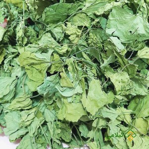خواص برگ پنیرک در طب سنتی