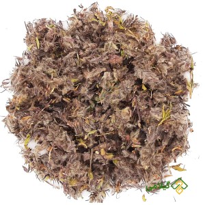 چای کوهی گیلامی پاک شده و تمیز
