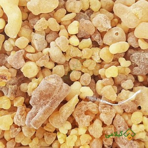 تفاوت کندر خوراکی و دودی گیلامی