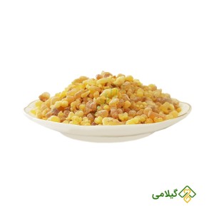 کندر به انگلیسی چی میشه؟