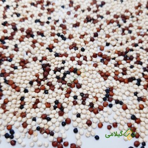 کینوا رنگی گیلامی یا پروتئین گیاهی