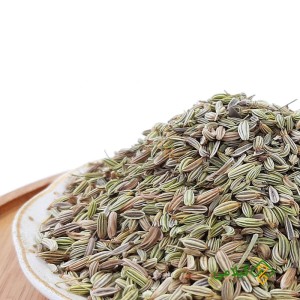 بالا بردن هورمون زنانه با گیاه رازیانه