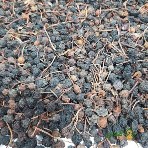 قره قات گیلامی (Gilamie Cranberry)
