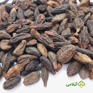 روش مصرف هلیله سیاه گیلامی (Gilamie Terminalia Chebula)