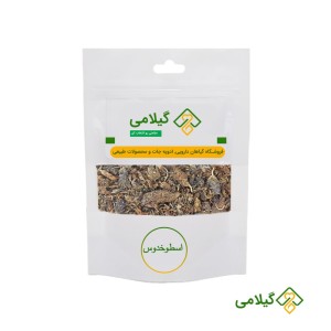 اسطوخدوس گیلامی ( Gilamie Lavender )