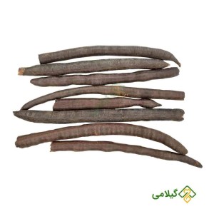 قیمت و خرید فلوس گیلامی (Gilamie Cassia Fistula)