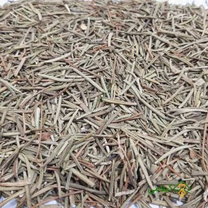 روش استفاده رزماری برای رشد مو