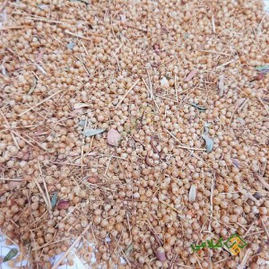 قیمت و خرید افتیمون گیلامی (Gilamie Cuscuta Epithymum)
