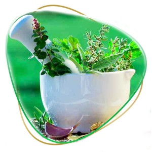 گیاهان دارویی (Medicinal plants)
